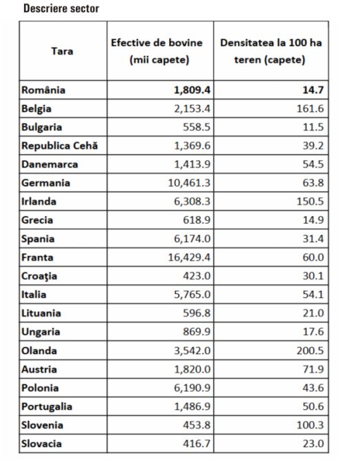TradeVille: DN Agrar plănuieşte investiţii de 3,4 milioane euro în 2025